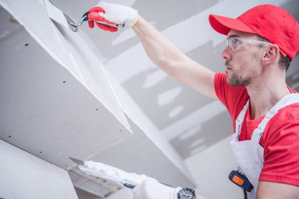 Best Fire-Damaged Drywall Repair  in USA